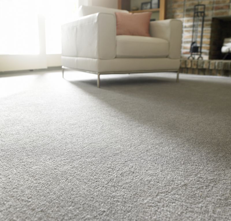 Wool Carpet Installation in Freehold, NJ