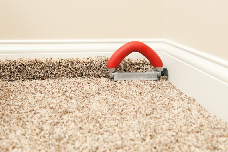 Carpet Smoothing in Denver County, CO