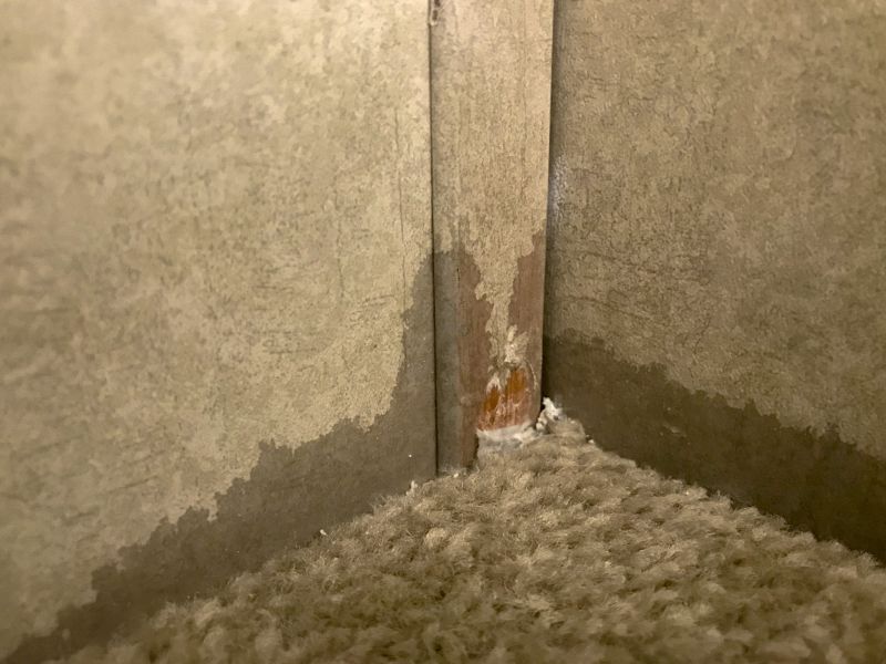 Doorway Carpet Repair in Olathe, KS