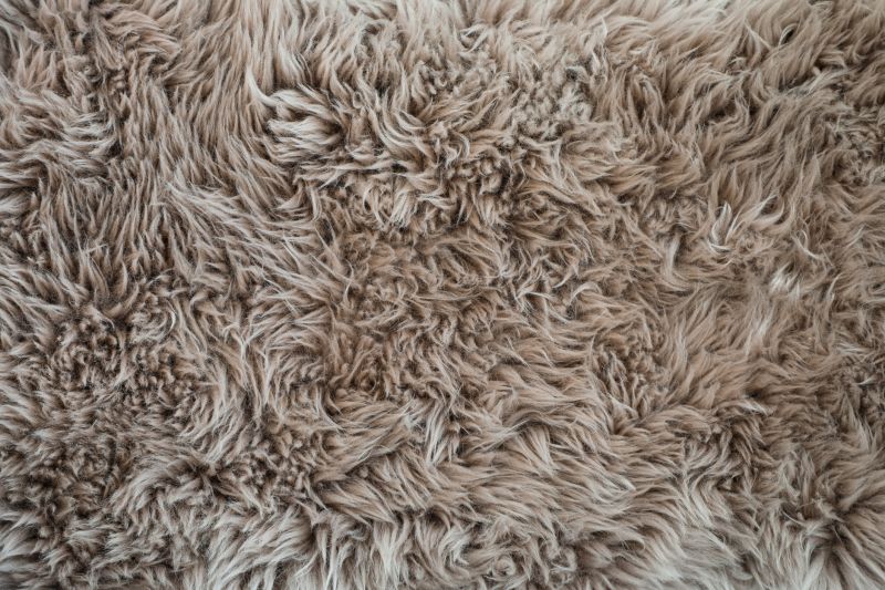 Shag Carpet Installation in Monmouth County, NJ